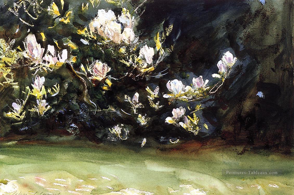 Magnolias John Singer Sargent Peintures à l'huile